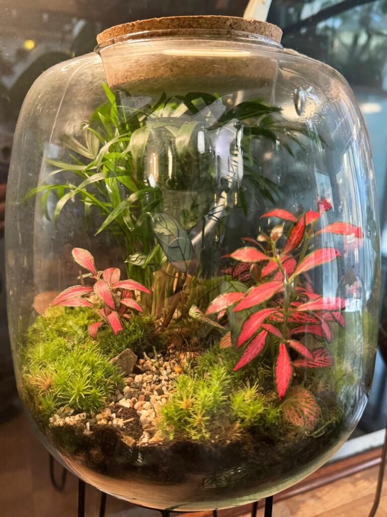 Flowering Plants for Colorful Terrariums