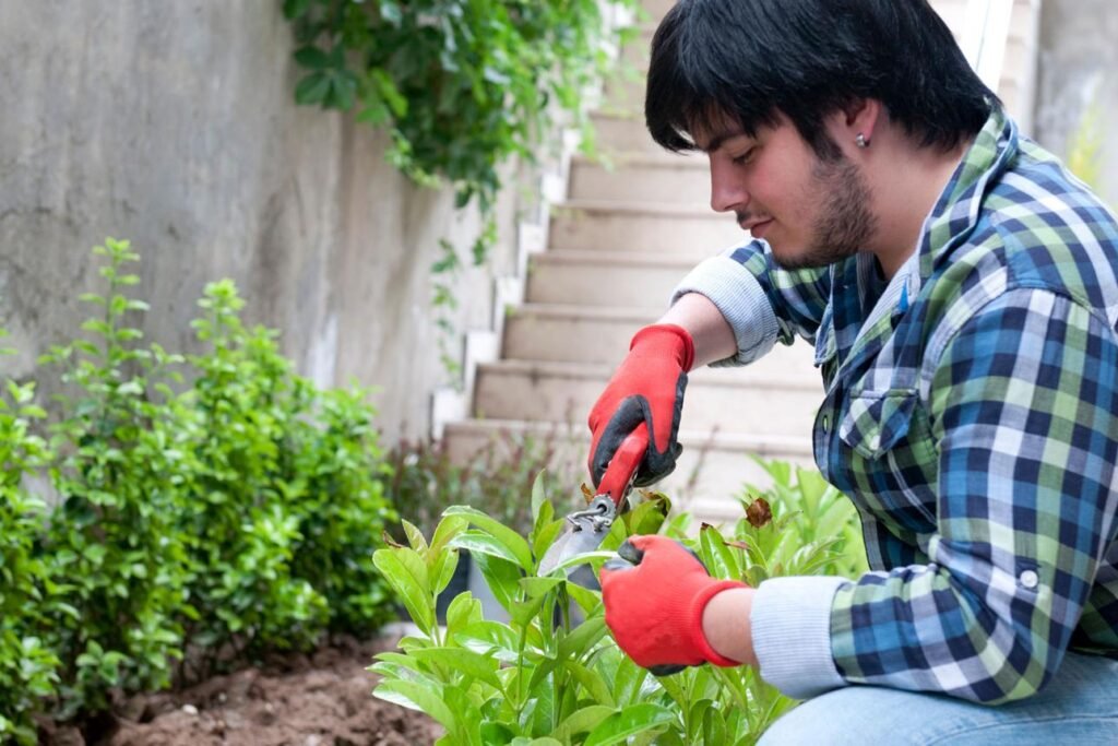 Forgetting to Prune and Maintain