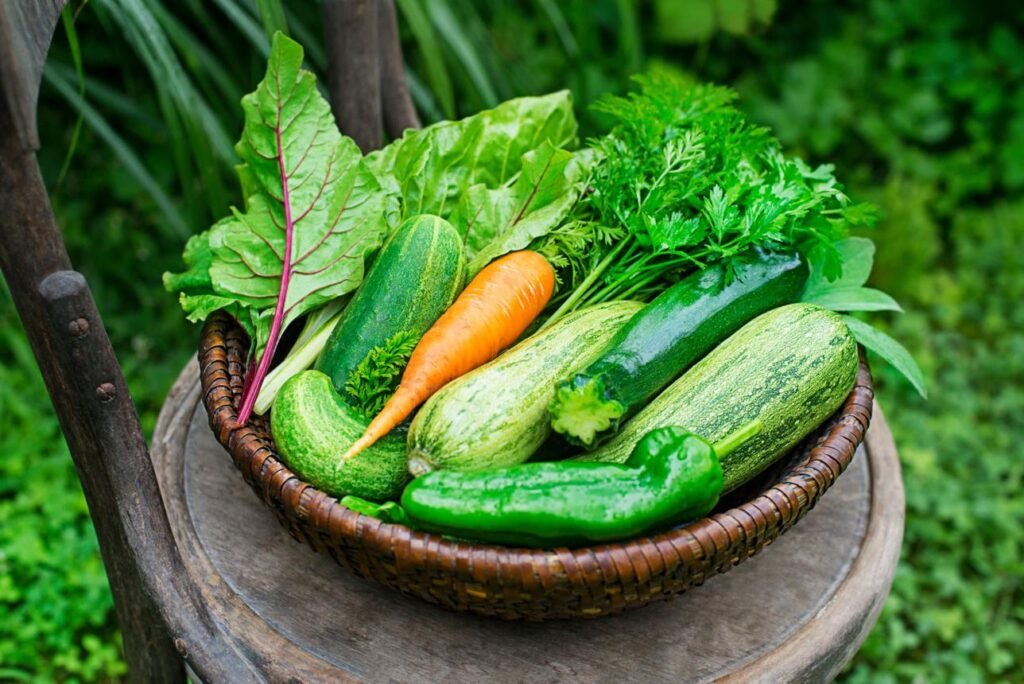 Selecting Beginner-Friendly Vegetables