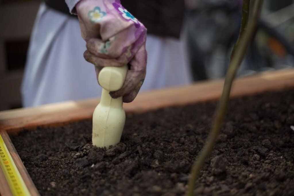 Skipping Proper Planting Techniques